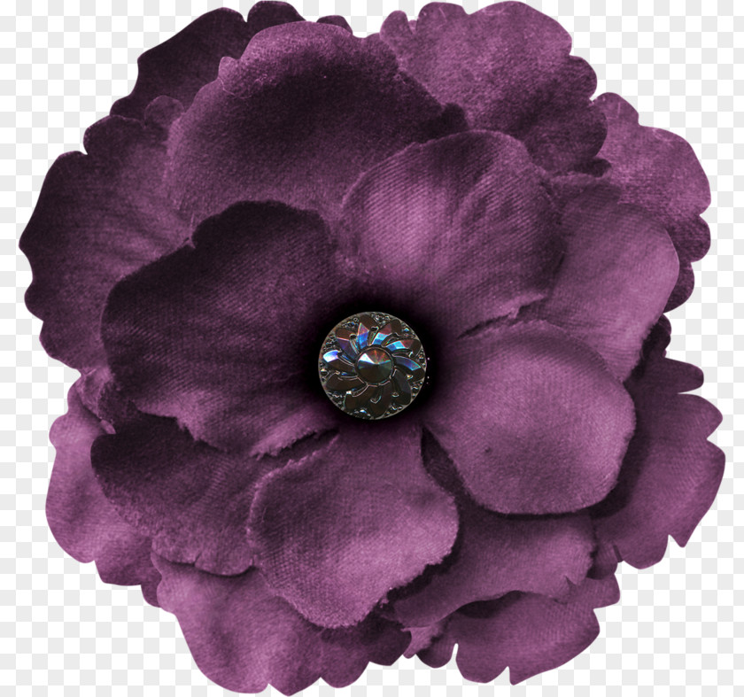 Flower Petal Purple Polyvore PNG