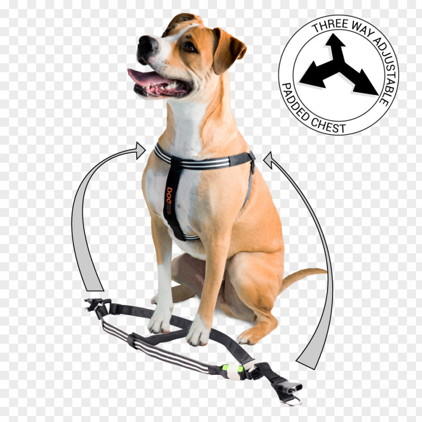 Harness Dog Breed Leash Rhodesian Ridgeback Collar PNG
