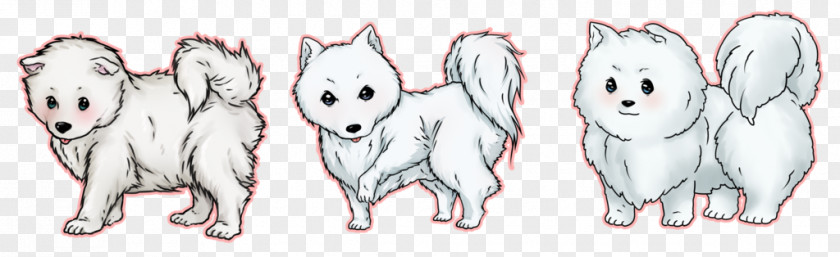 Samoyed Dog Breed Hare Sketch PNG