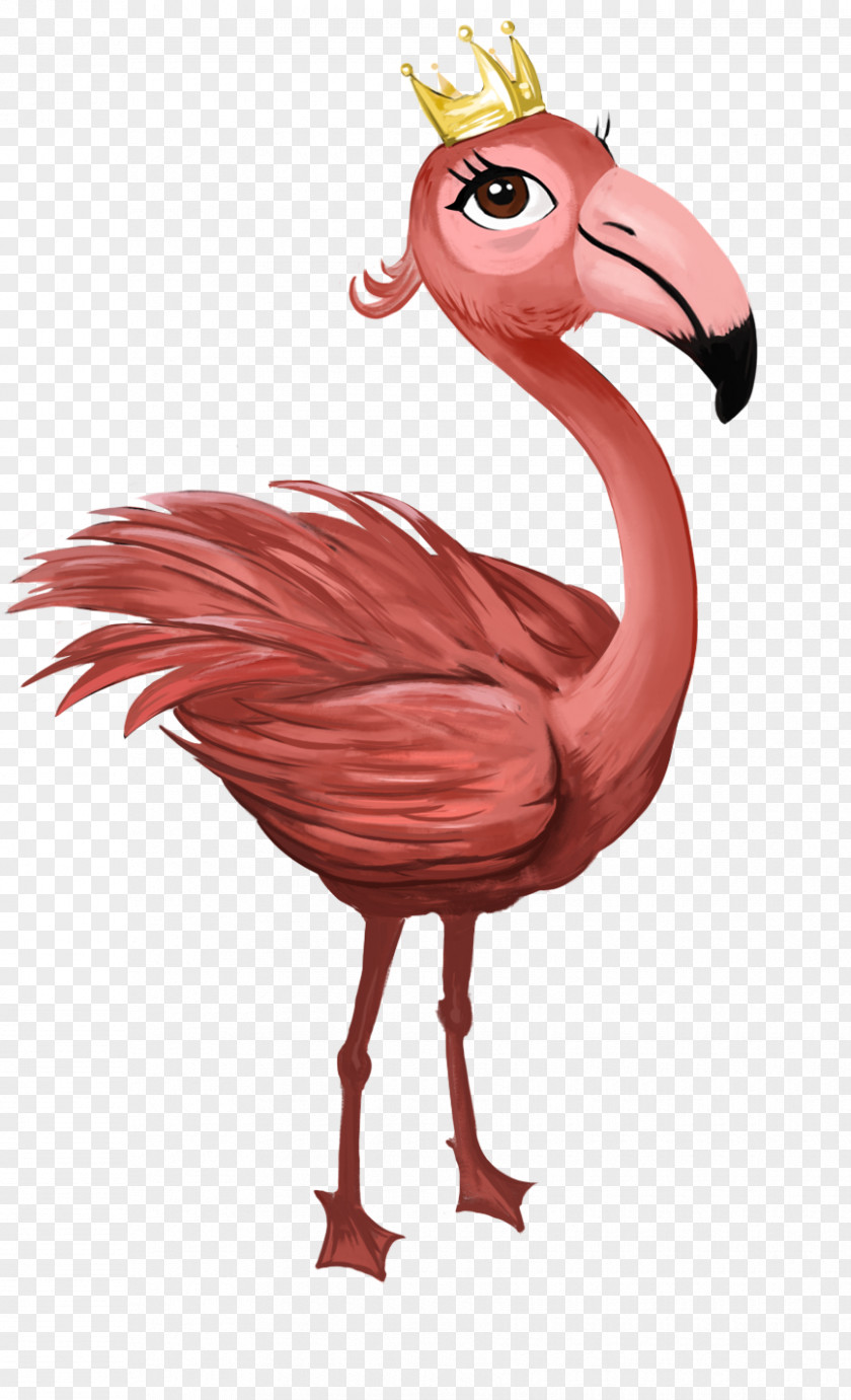Wildlife Drawing Flamingo PNG