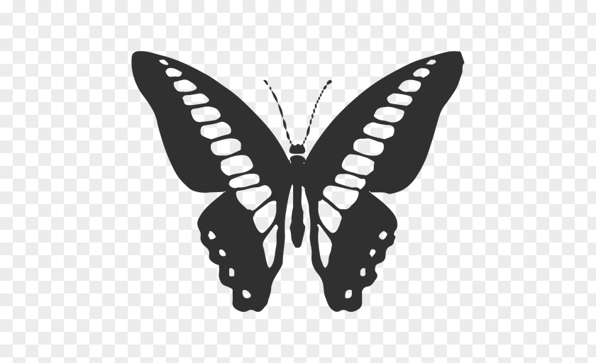Butterfly Cartoon Svg Vector Monarch Graphics Illustration Silhouette PNG