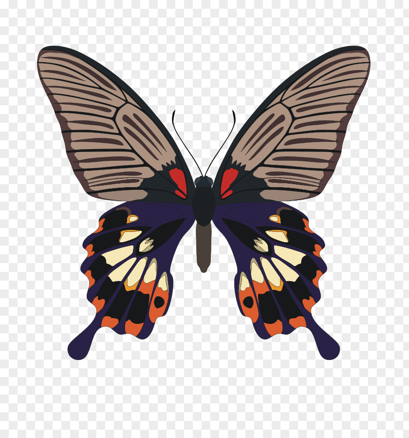 Butterfly Insect Stock Photography Royalty-free Arthropod PNG