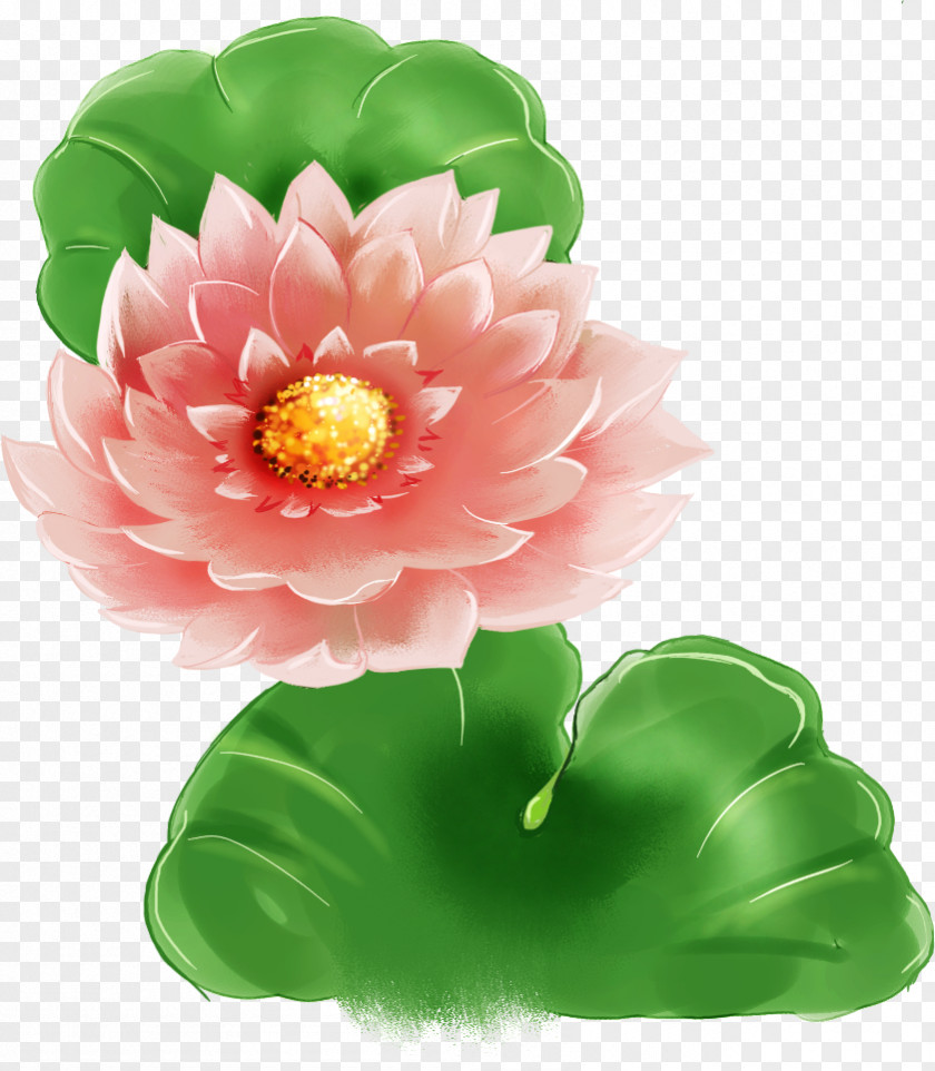 Cartoon Painted Lotus Leaf PNG
