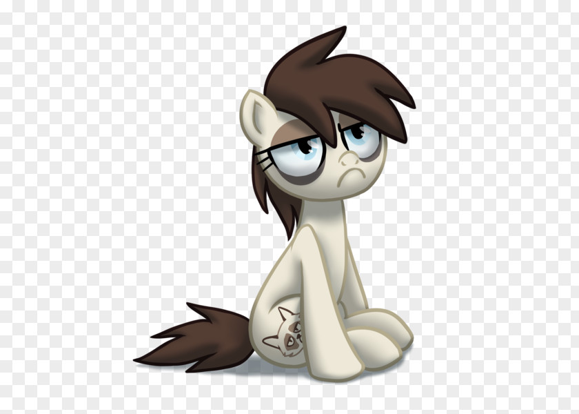Cat Grumpy Pony Horse Rainbow Dash PNG