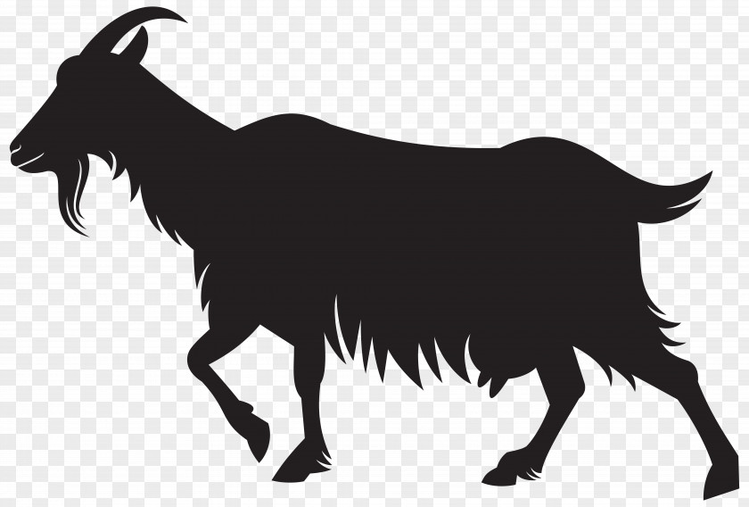 Goat Sheep Image Black And White PNG