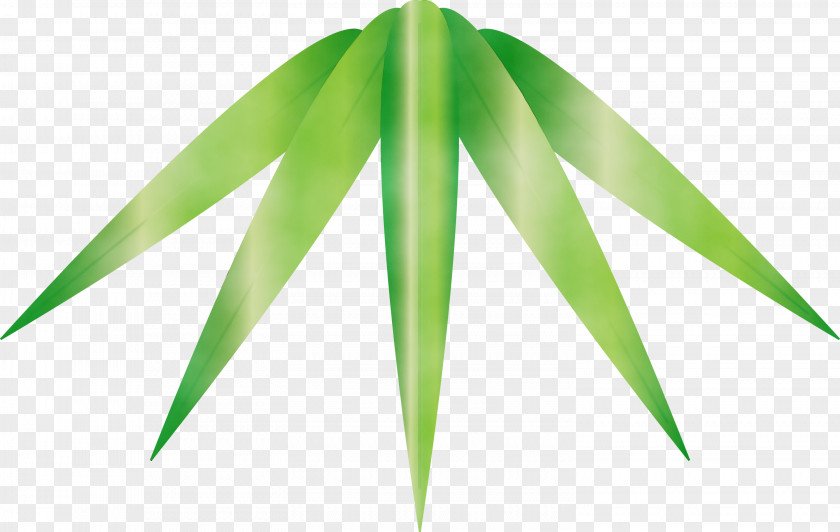 Leaf Green Plant Grass Tree PNG