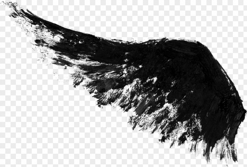 Paint Ink Black And White Wing PNG