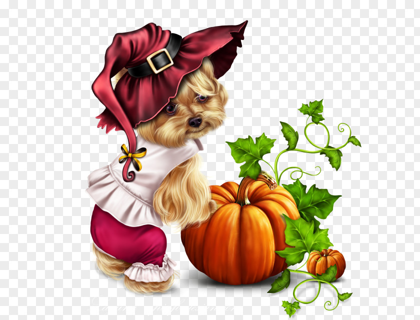 Plant Yorkshire Terrier Dog Trick-or-treat Shih Tzu Puppy PNG