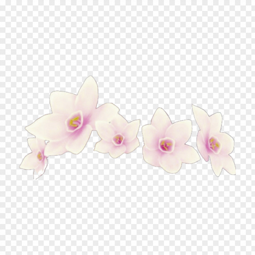 Simple White Wedding Flower Crown Moth Orchids Cut Flowers Petal PNG