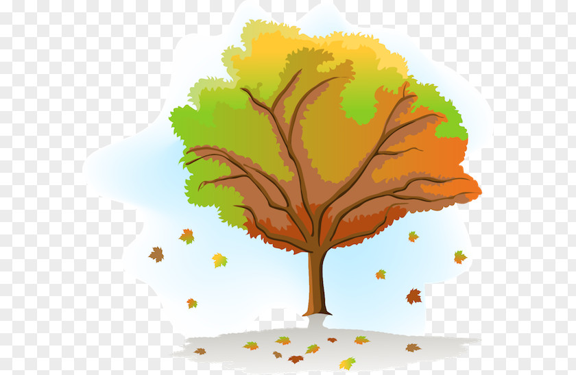 Tree Vector Graphics Season Drawing Clip Art PNG