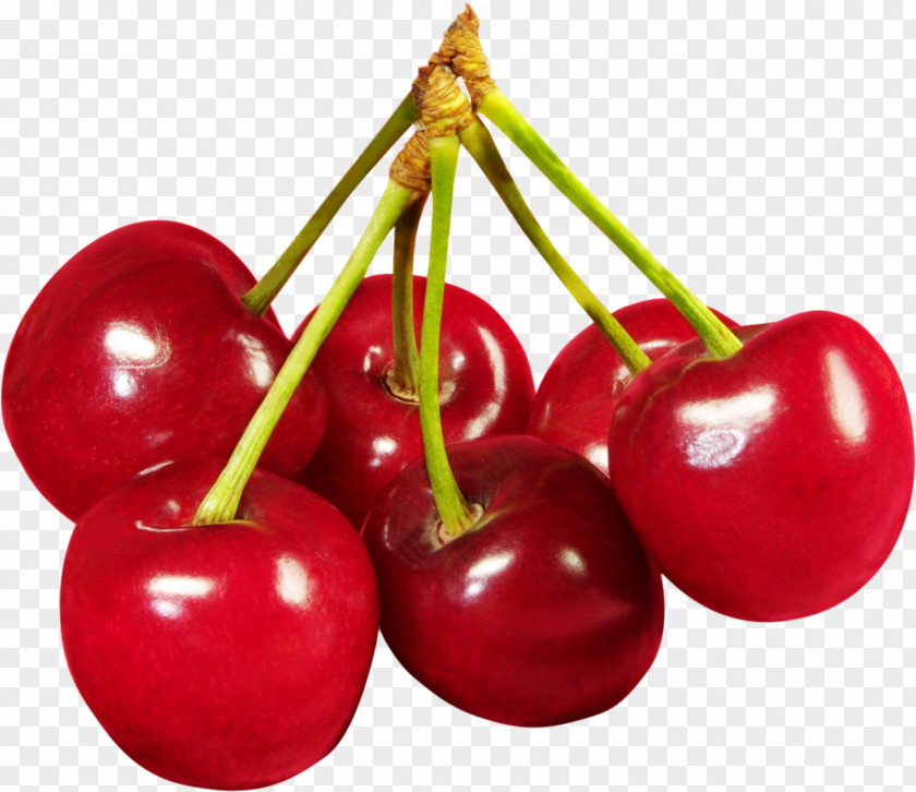 Berries Barbados Cherry Food Fruit PNG