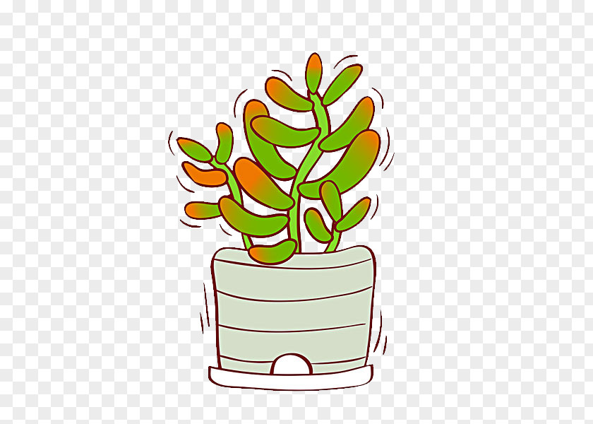 Cactus Flowerpot Succulent Plant Cactaceae PNG