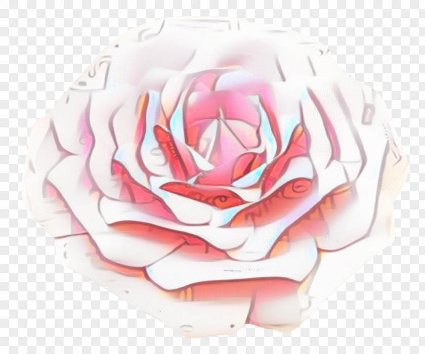 Hybrid Tea Rose Camellia Pink Flower Cartoon PNG