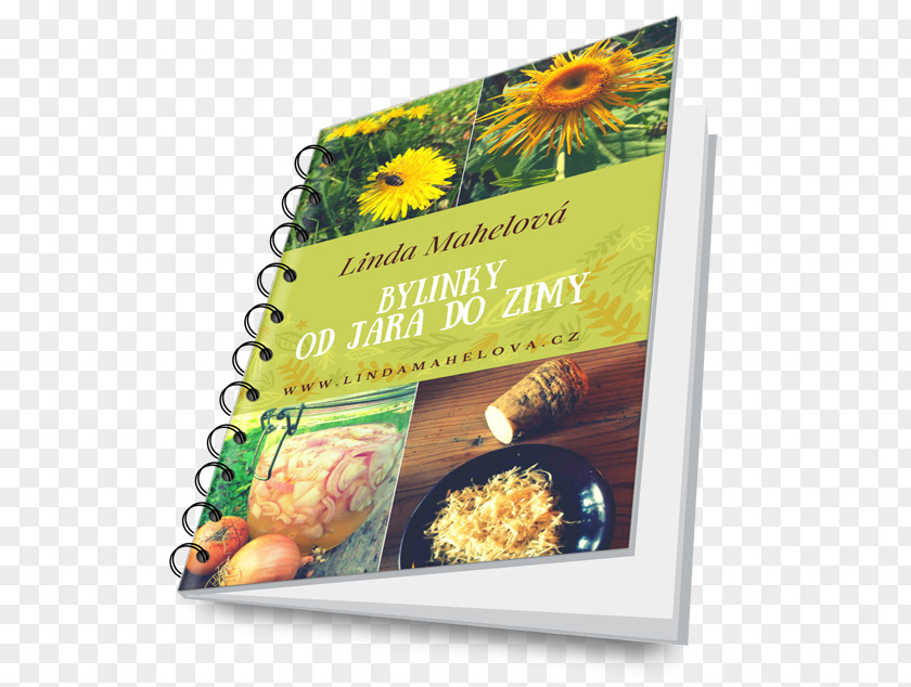 Inky Herb Guida Alla Nutrizione Infantile Vegetarian Cuisine Food English Lavender PNG
