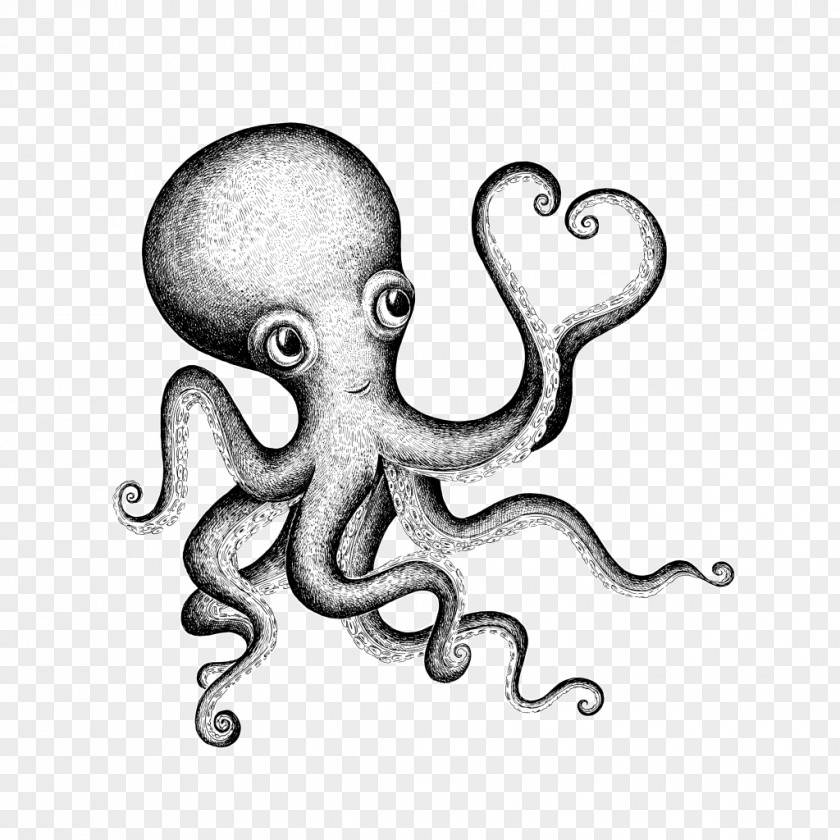 Octapus Octopus Valentine's Day Drawing Clip Art PNG