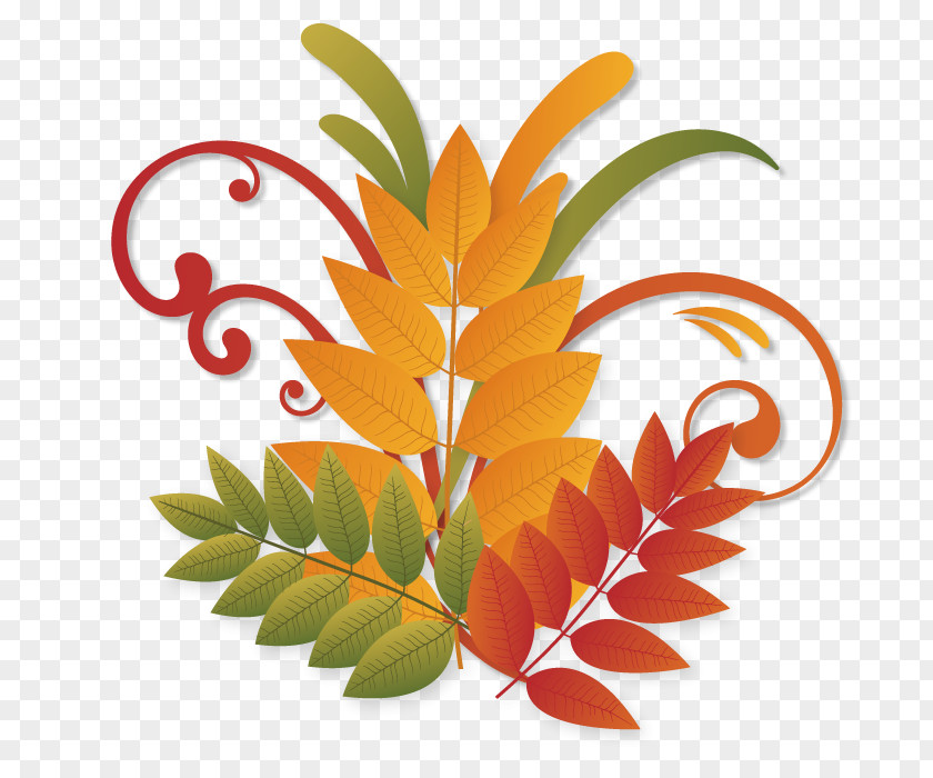 Autumn Leaves Plants Liqiu Clip Art PNG