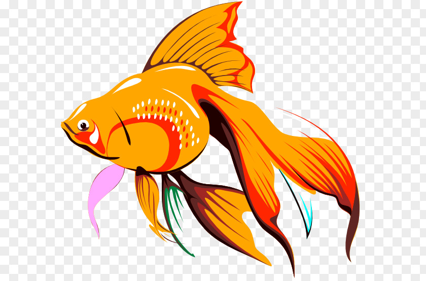 Fish Goldfish Drawing Clip Art PNG