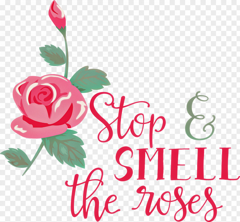 Rose Stop And Smell The Roses PNG