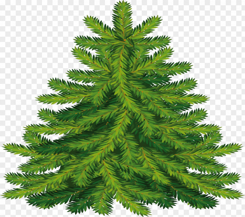 Fir-tree New Year Tree Fir Clip Art PNG