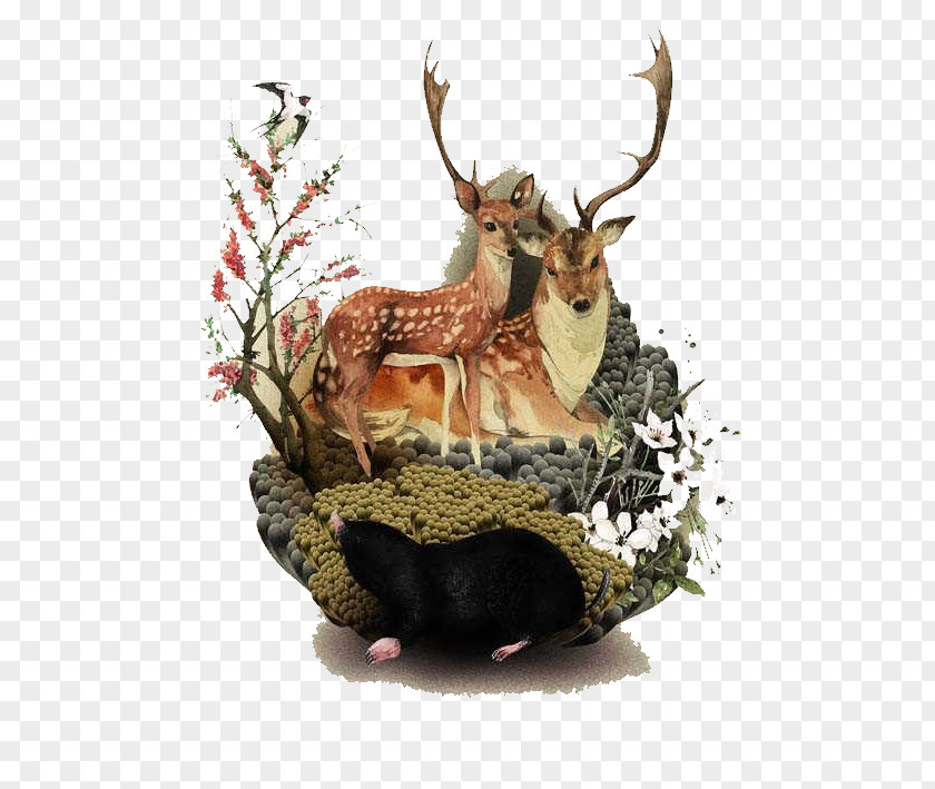 Hand-painted Deer Digital Illustration PNG