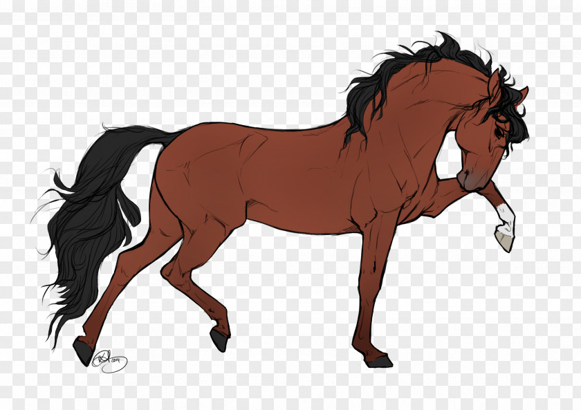 Horse-drawn Appaloosa Gypsy Horse Drawing Clip Art PNG