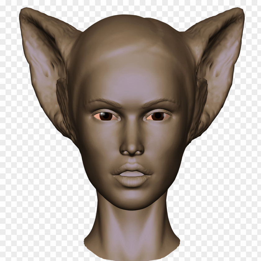 Ear Forehead Sculpture Jaw Snout PNG