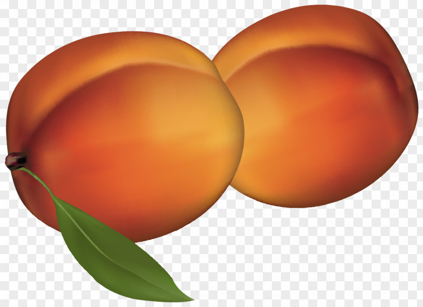Tasty Peach Fruit Clip Art PNG