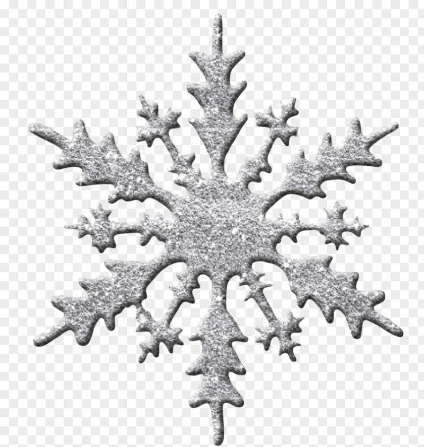 Beautiful Snowflake Clip Art PNG