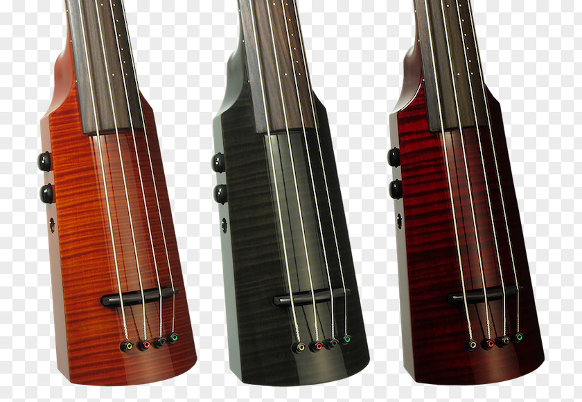 Black Bass Cooking Violone Double Violin Cello PNG