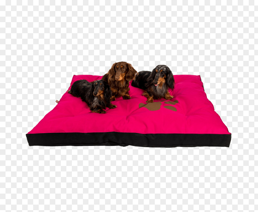 Dog Breed Mattress Pelechy Beds PNG