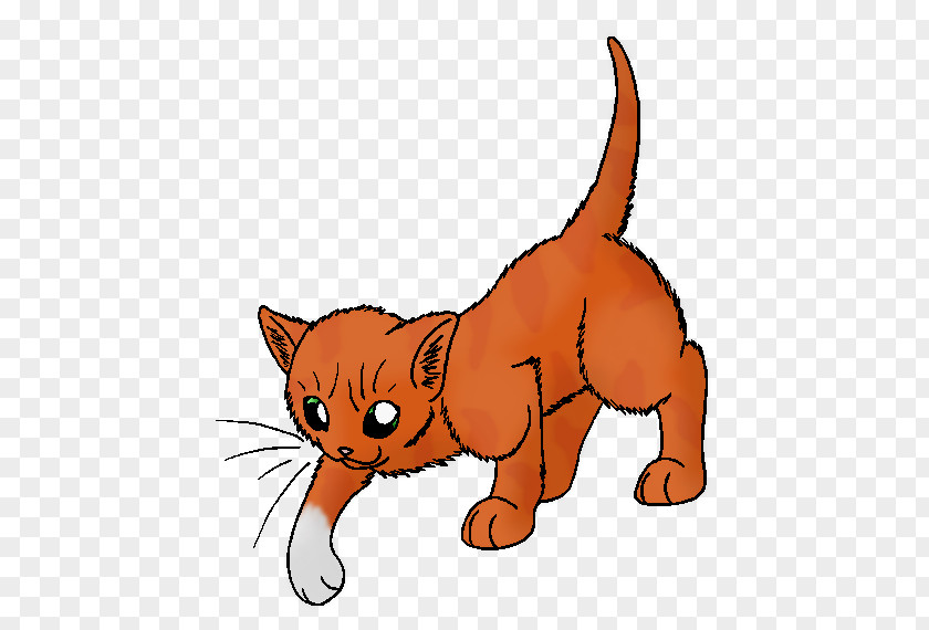 Firestar Leafpool Squirrelflight Whiskers Tabby Cat Wildcat PNG