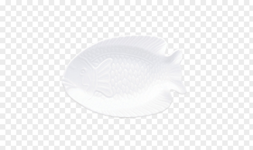 Fish Plate Plastic PNG