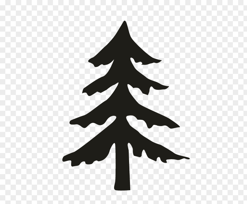 Oakleaf Hydrangea Fir Pine Spruce Christmas Tree PNG