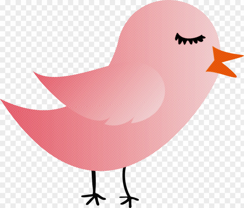 Pink Bird Cartoon Beak Mouth PNG
