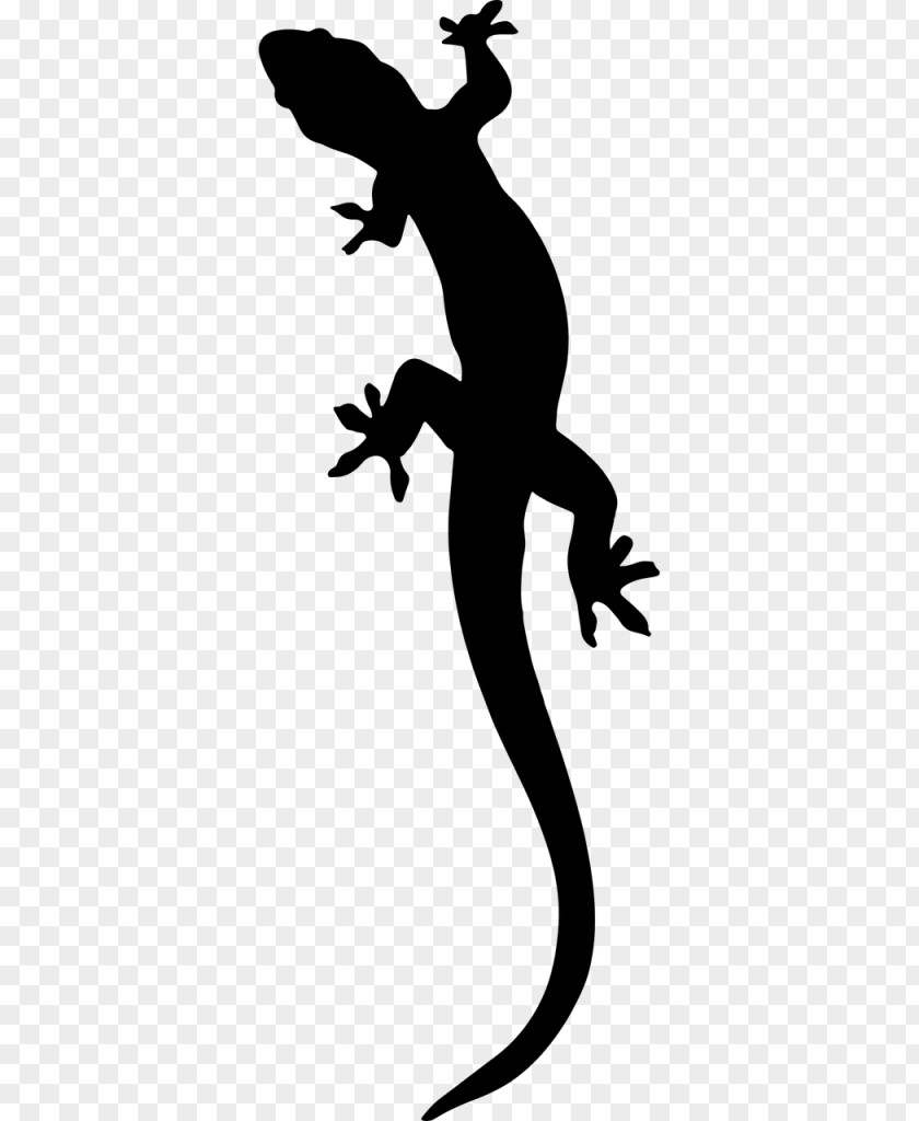 Salamander Gecko Clip Art PNG