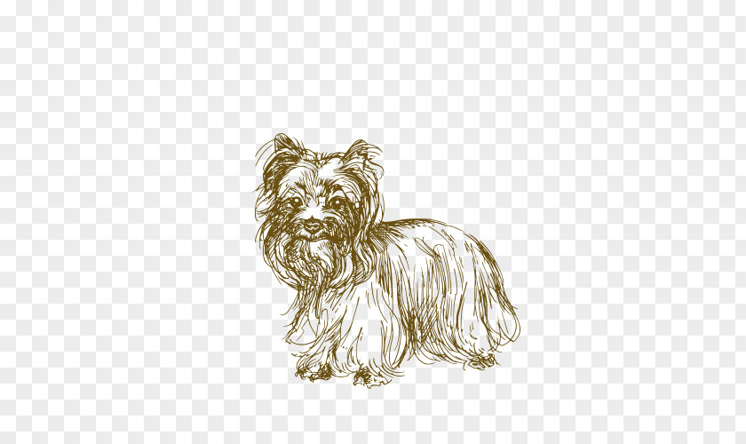 Dog Jack Russell Terrier African Wild Puppy Drawing PNG