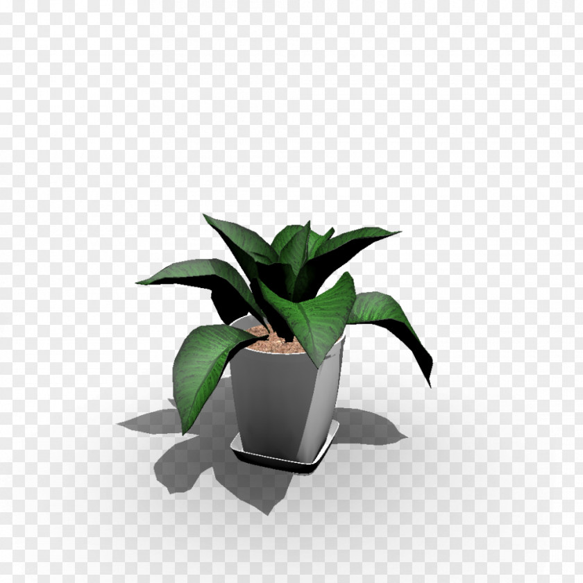 Plant Identification Houseplant Flowerpot Animal Gardening PNG