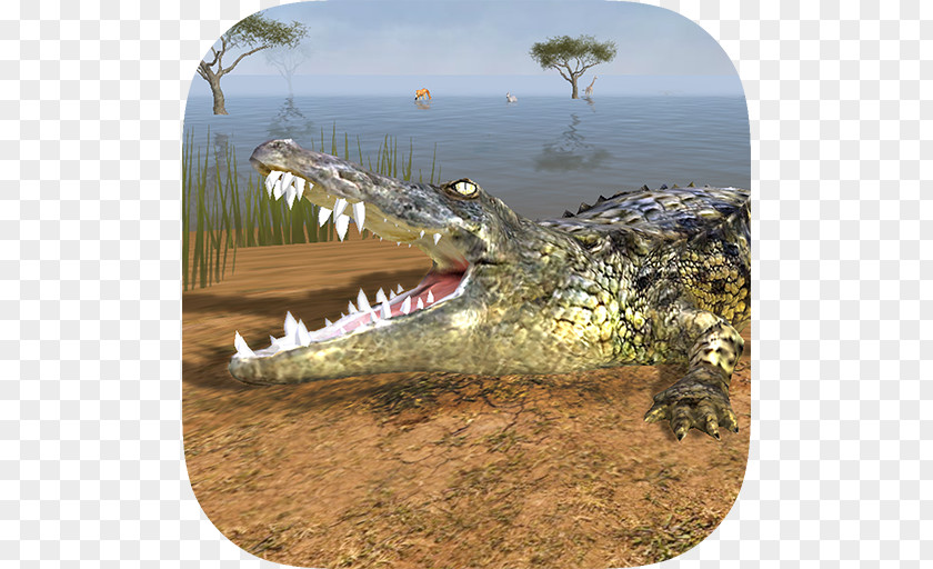 Crocodile Nile Simulator 2015 Wild 3D PNG