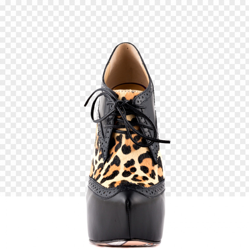 Jane Addams Day Shoe Size Leather Walking Woman PNG