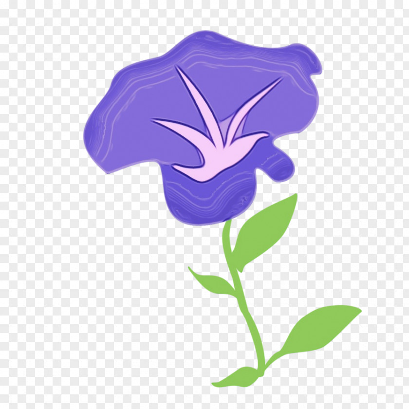 Morning Glory Iris Violet Flower Purple Plant Flowering PNG