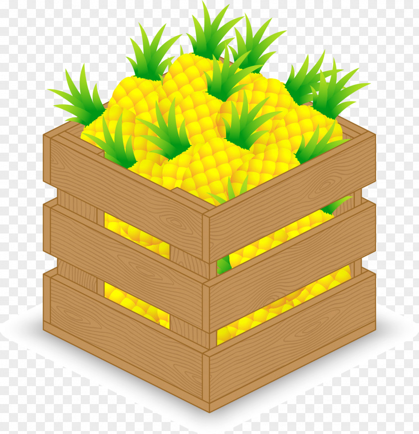 3D A Wooden Box Pineapple Vector Fruit PNG