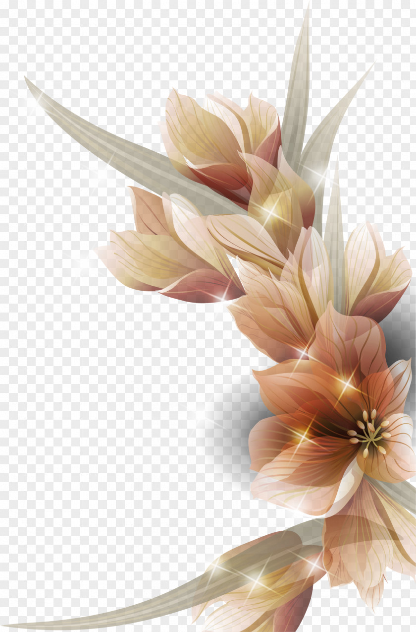 Beautiful And Colorful Flowers Floral Design Flower PNG