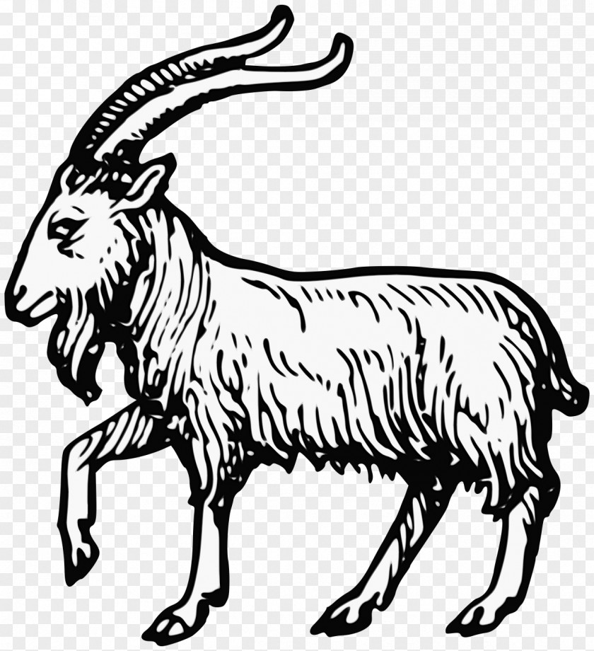 Goat Clip Art Complete Guide To Heraldry Sheep PNG