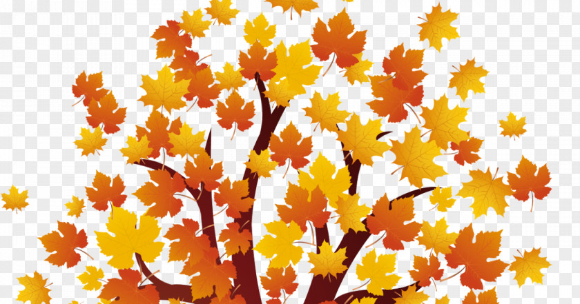 Harley Sturgis Autumn Download Red Maple Clip Art PNG