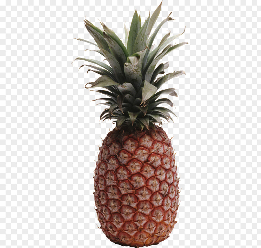 Pina Pineapple Диеты? Диеты! Clip Art PNG