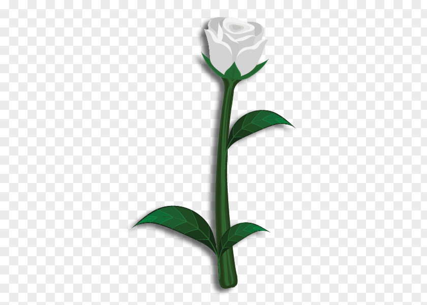 Rose Cut Flowers Theta Phi Alpha Lily PNG