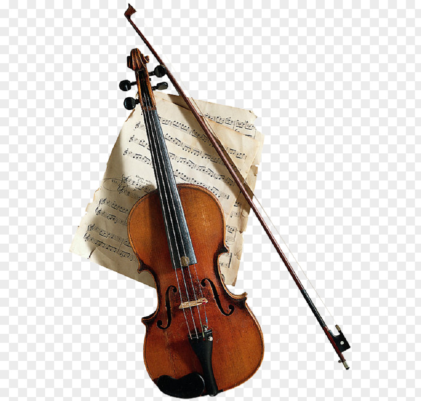 Violin Bow Viola Music Cello PNG