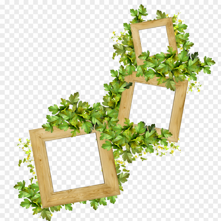 Flowers In Clusters Saint Patrick's Day Picture Frames Photographer PNG