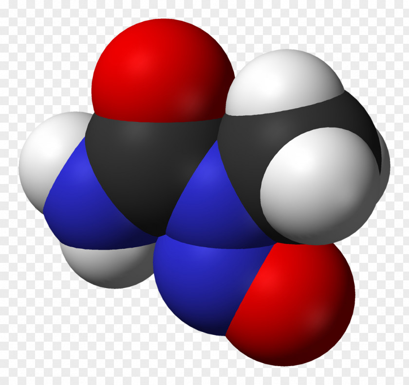 N-Nitroso-N-methylurea Carcinogen ENU Mutagen PNG
