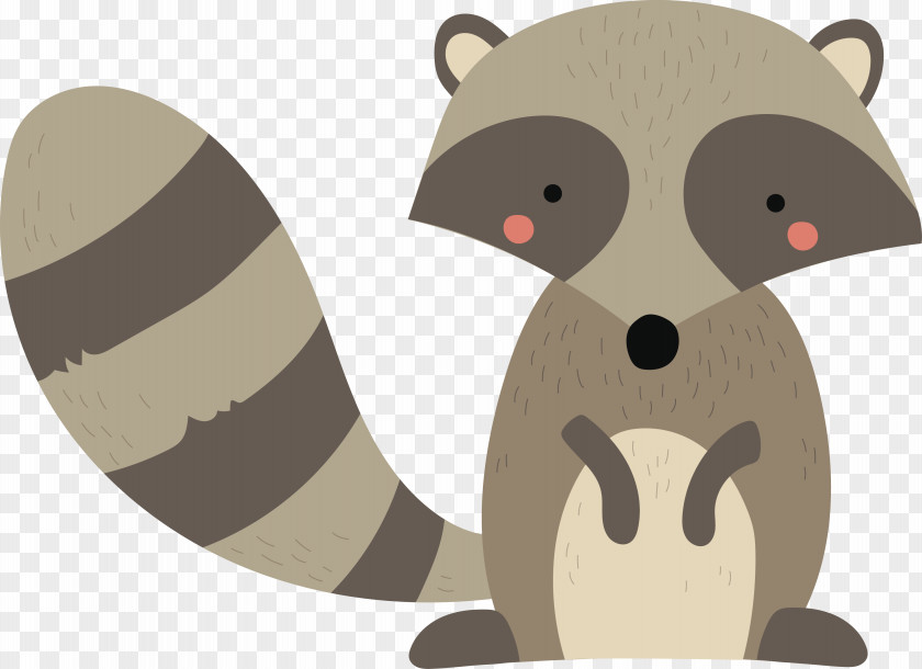 Vector Cartoon Raccoon Animal Illustration PNG
